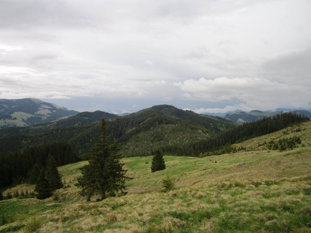 IMG_9818.JPG