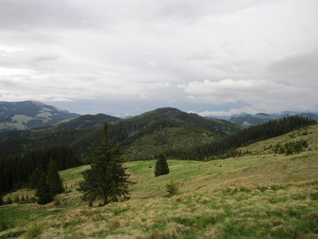 IMG_9818.JPG