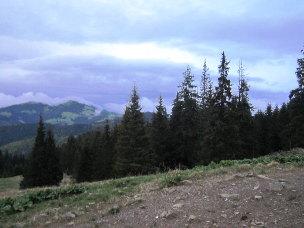 IMG_9859.JPG