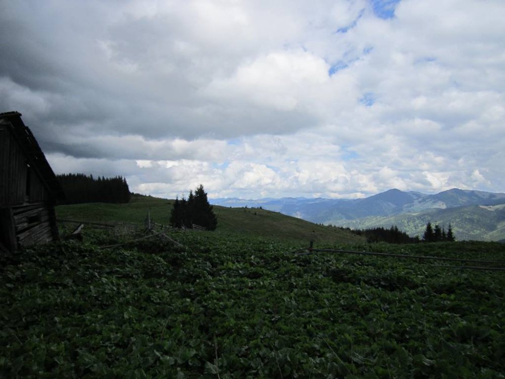 IMG_9924.JPG