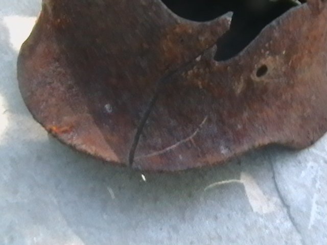 IMGA0095.JPG