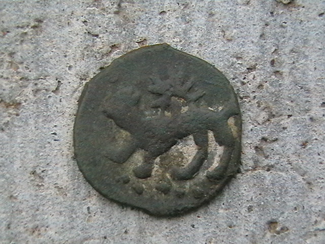 IMGA0334.JPG