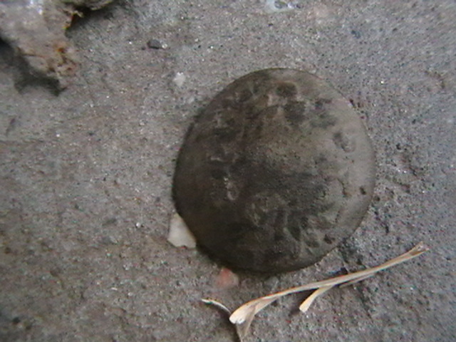 IMGA0681.JPG