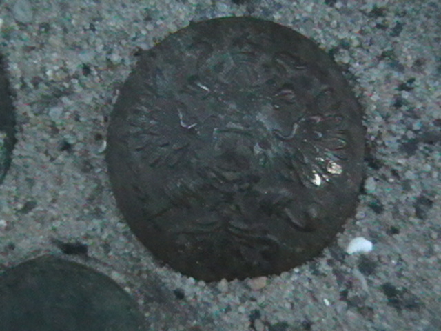 IMGA0697.JPG