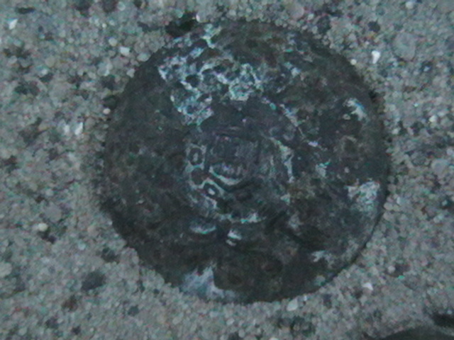 IMGA0698.JPG