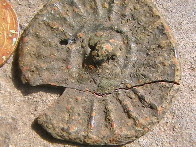 IMGA0736.JPG