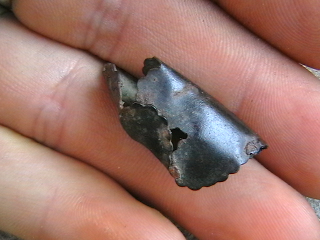 IMGA0740.JPG