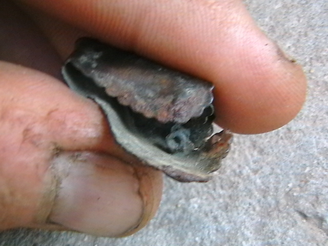 IMGA0741.JPG