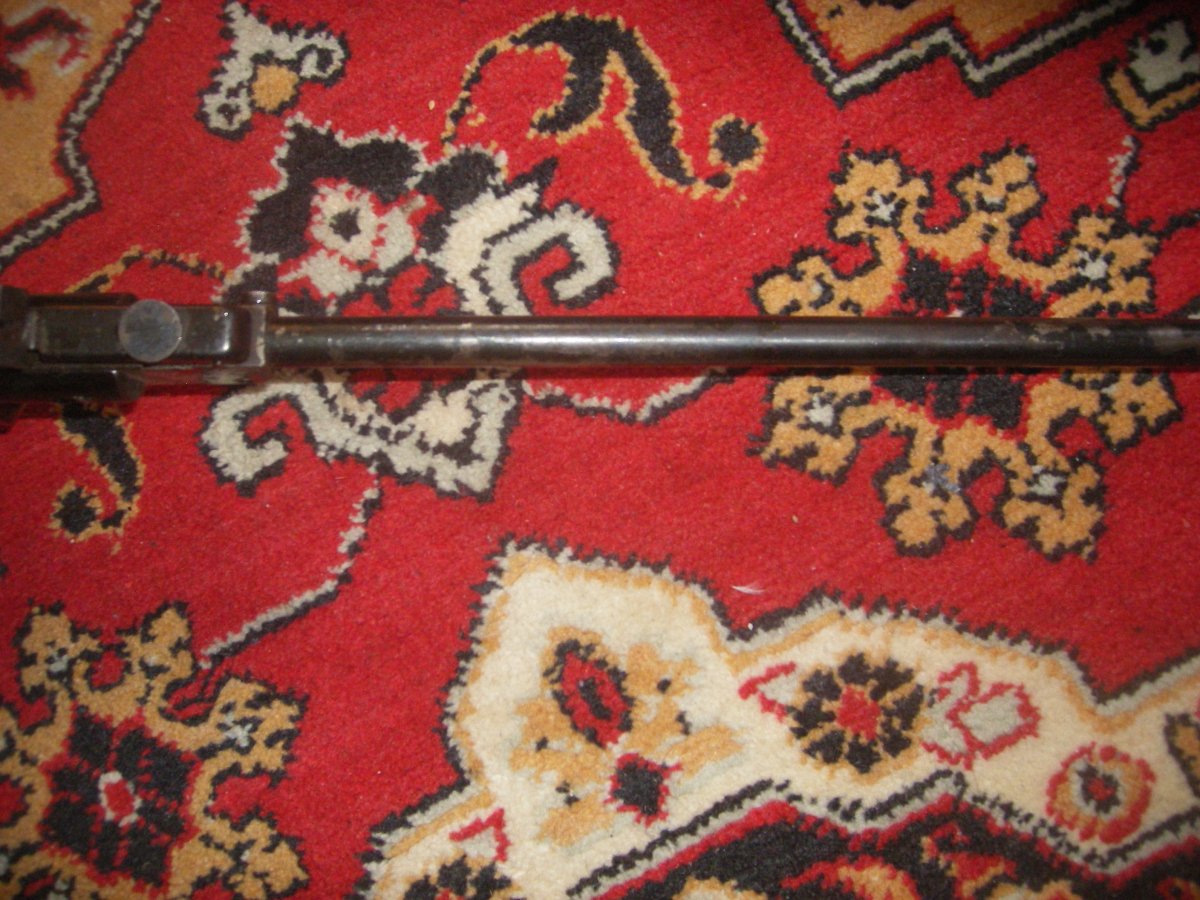 IMGP0256.JPG