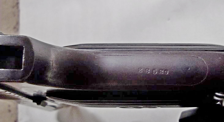 IMGP4699.JPG