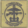 INSIGNIA amphib_small.jpg