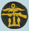 INSIGNIA GOLD ON BLACK ROUND_small.jpg