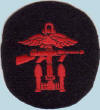 INSIGNIA SPECIMAN UNKNOWN_small.jpg