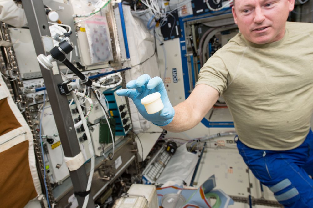 iss042e031291.jpeg