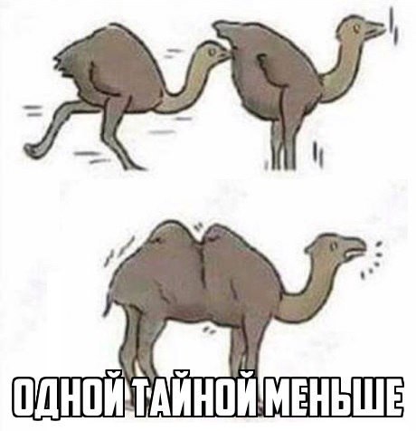 iVkSBLhtoGc.jpg