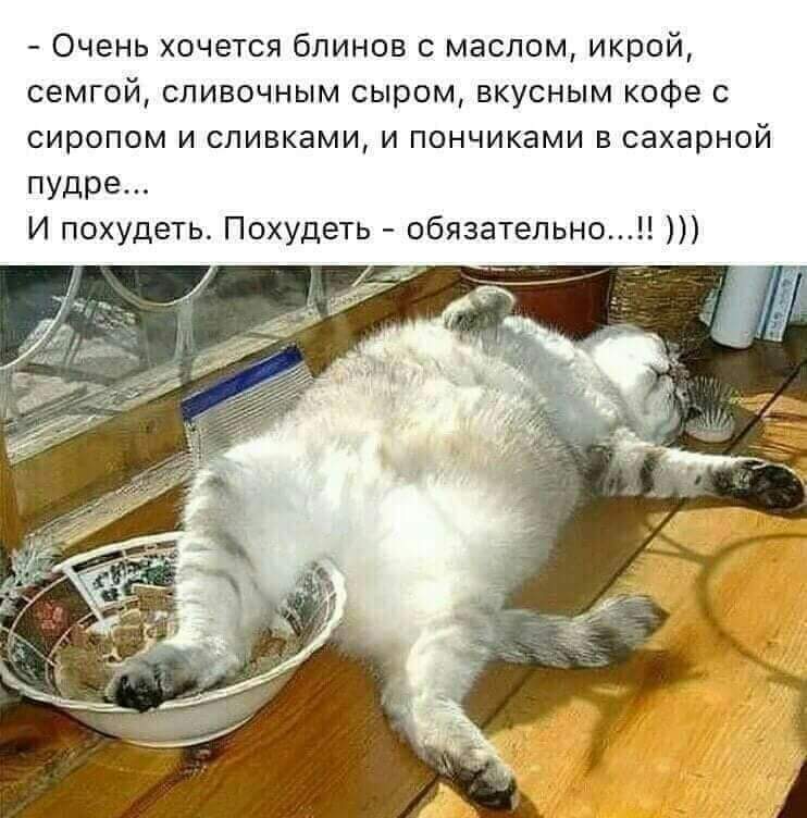 изображение_viber_2020-02-28_08-51-30.jpg