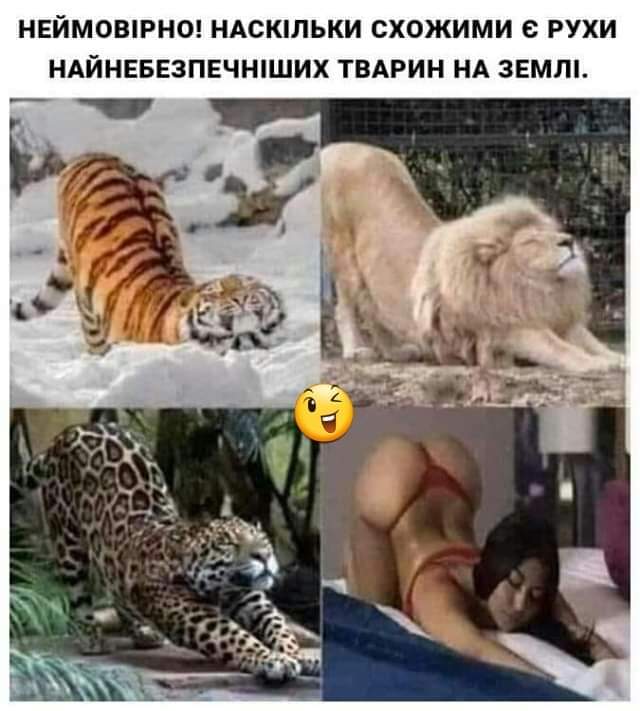 изображение_viber_2020-03-05_16-31-25.jpg