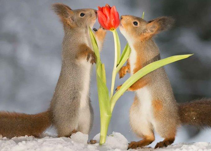 изображение_viber_2020-03-08_12-31-31.jpg