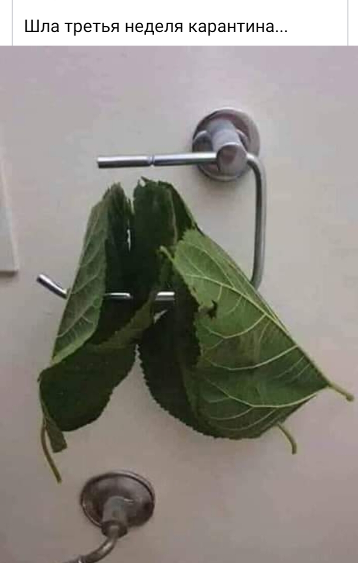 изображение_viber_2020-03-20_11-47-53.jpg