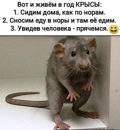 изображение_viber_2020-03-26_09-16-56.jpg