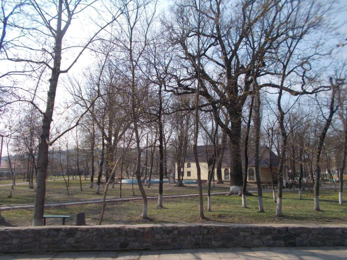 изображение_viber_2020-04-04_11-19-56.jpg