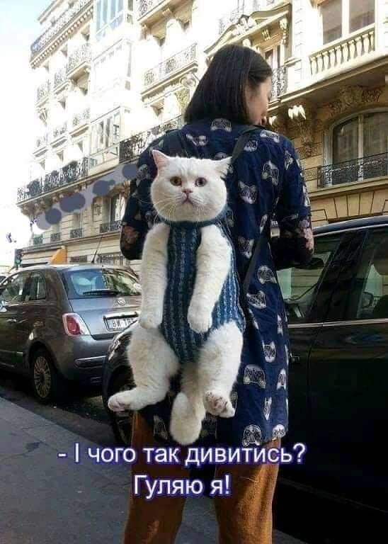 изображение_viber_2020-05-07_16-34-19.jpg