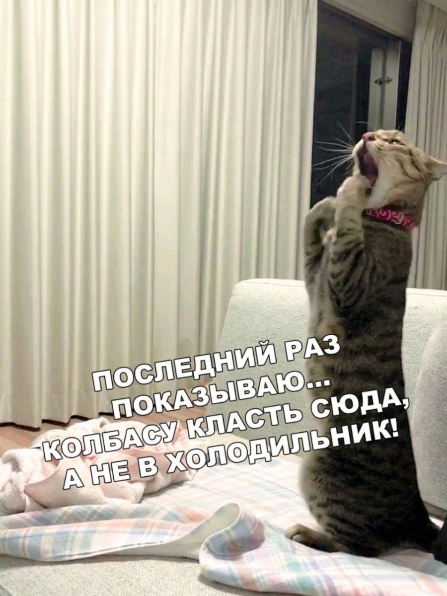 изображение_viber_2020-05-07_17-45-37.jpg