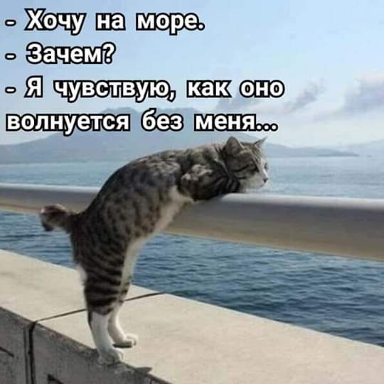 изображение_viber_2020-05-11_10-29-49.jpg