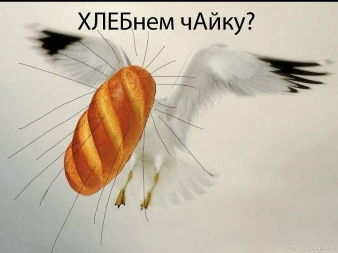 изображение_viber_2020-05-11_14-47-24.jpg