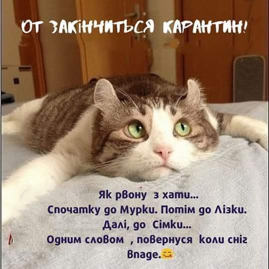 изображение_viber_2020-05-13_09-43-29.jpg