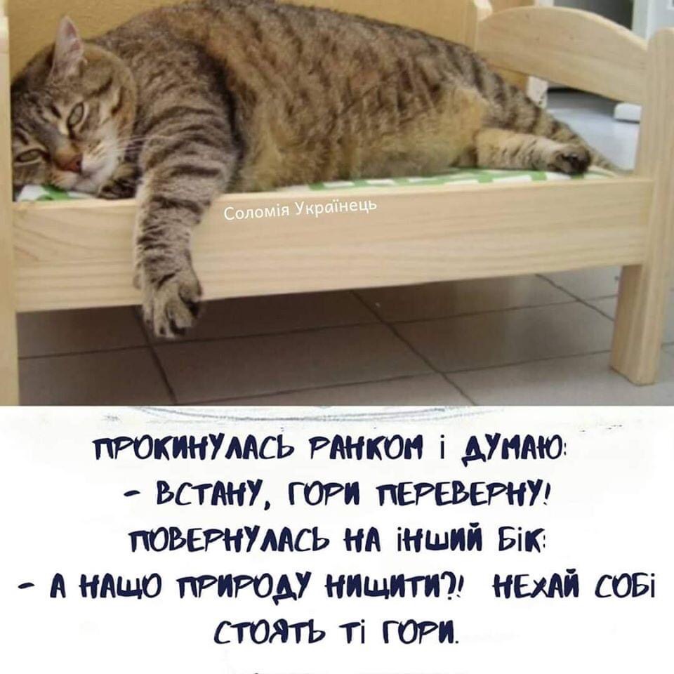 изображение_viber_2020-05-14_17-49-54.jpg