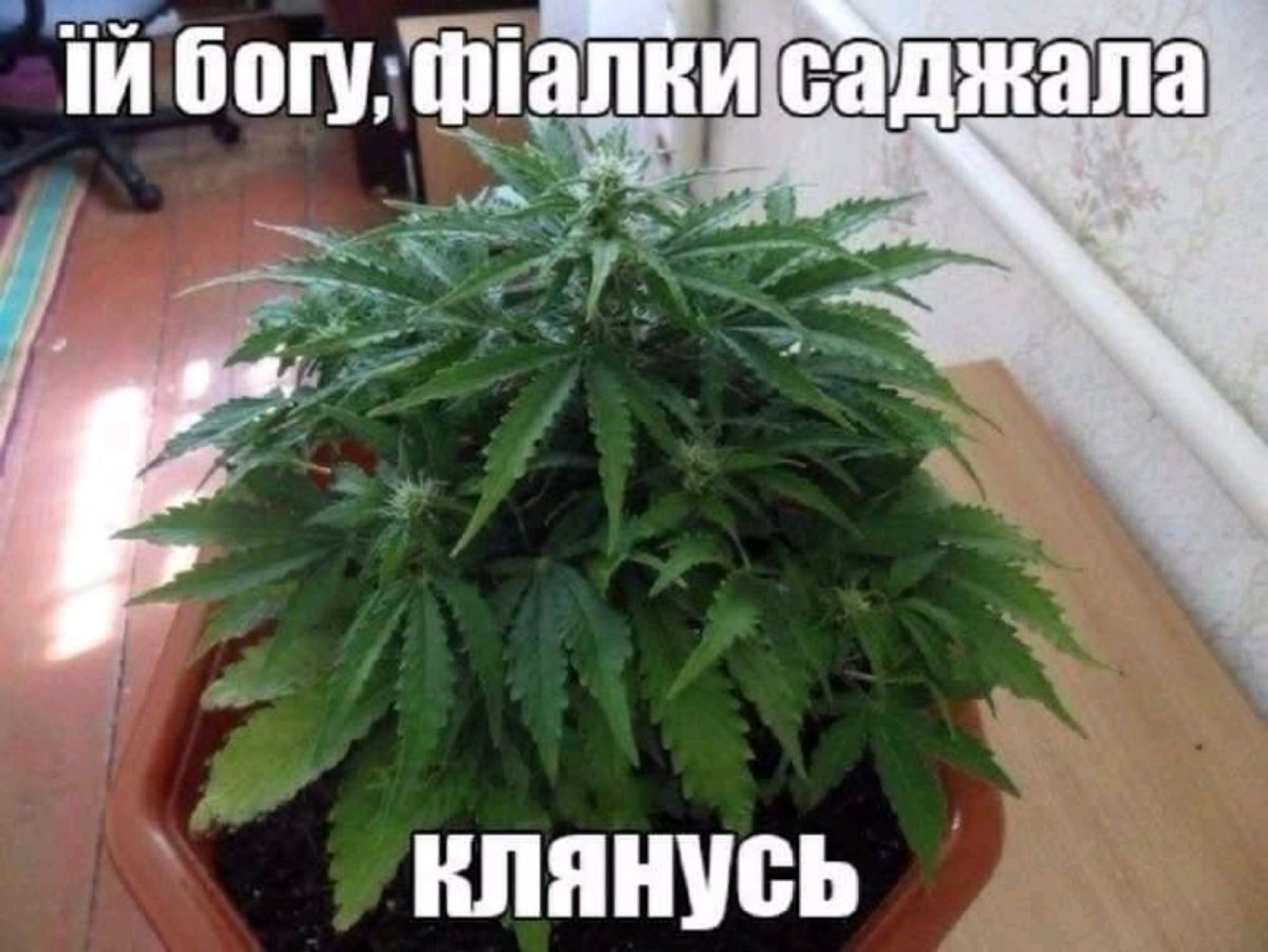 изображение_viber_2020-05-15_11-40-14.jpg
