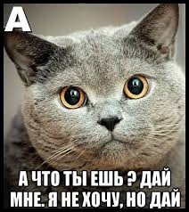 изображение_viber_2020-05-17_12-54-00.jpg