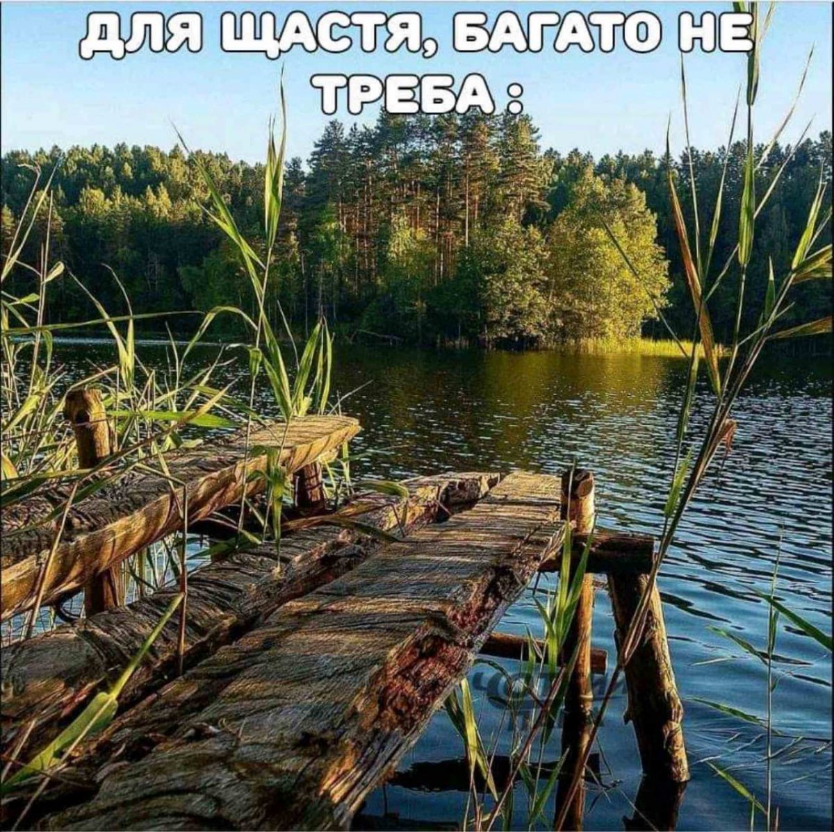изображение_viber_2020-05-19_07-25-40.jpg
