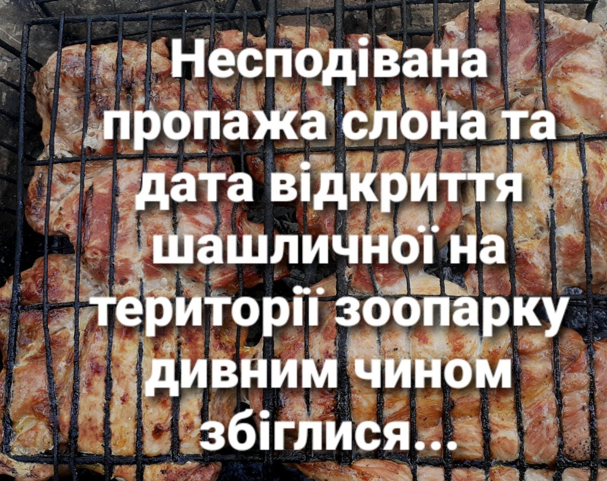 изображение_viber_2020-05-19_13-01-31.jpg