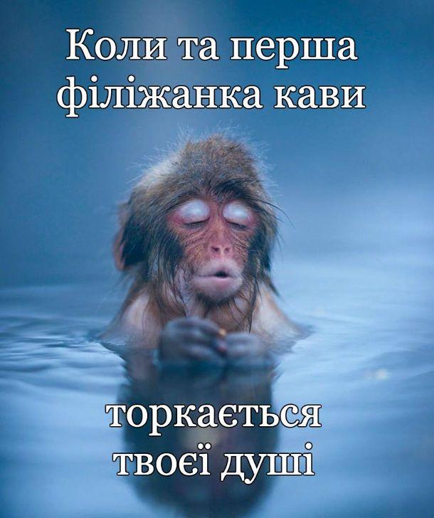 изображение_viber_2020-05-20_10-16-29.jpg