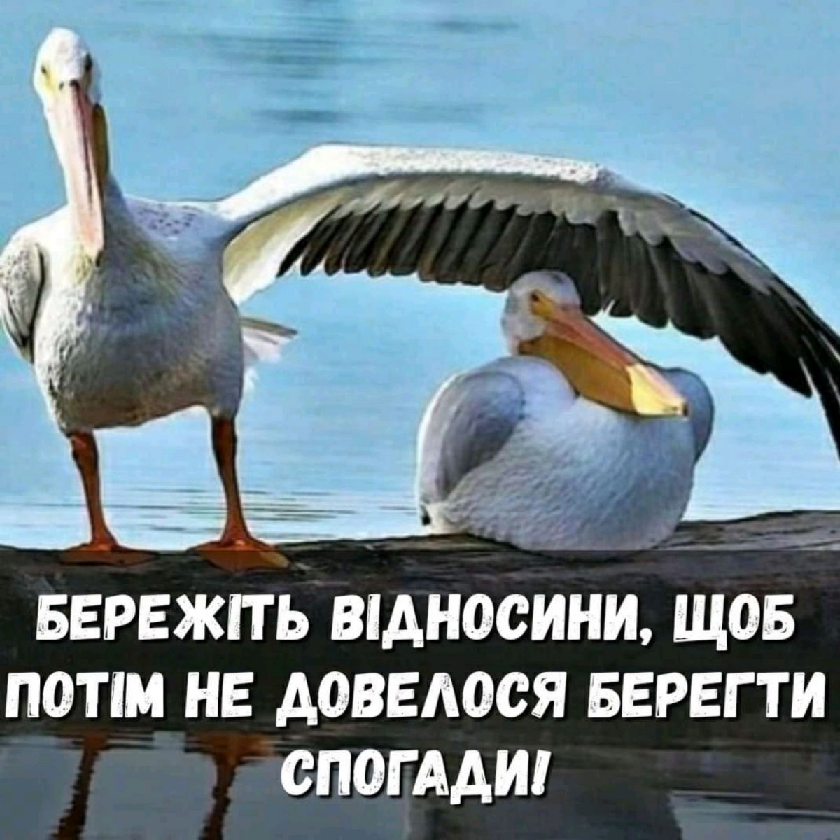 изображение_viber_2020-05-24_08-03-12.jpg