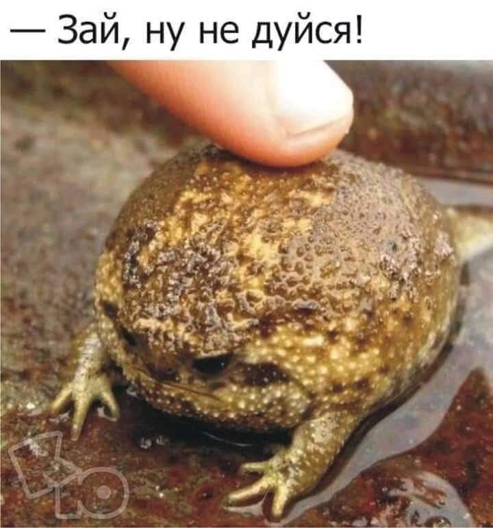 изображение_viber_2020-05-24_11-30-29.jpg