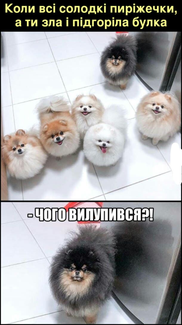 изображение_viber_2020-05-24_13-20-49.jpg