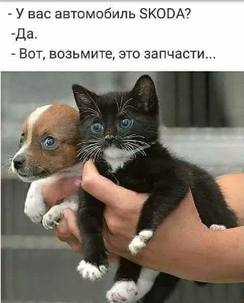 изображение_viber_2020-05-26_19-11-37.jpg