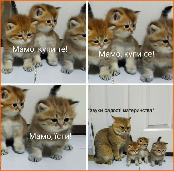изображение_viber_2020-05-26_20-56-49.jpg