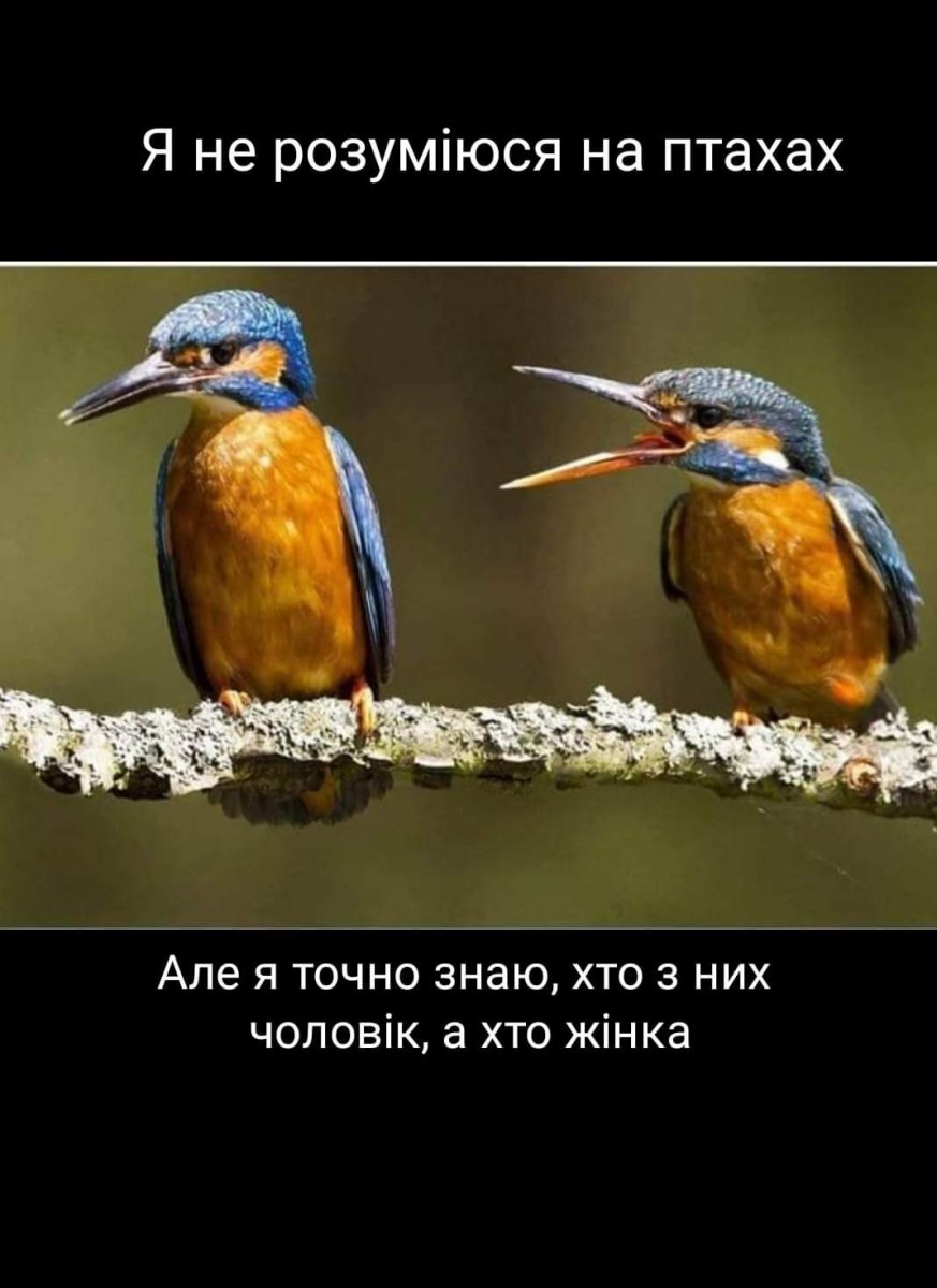 изображение_viber_2020-05-26_22-35-48.jpg