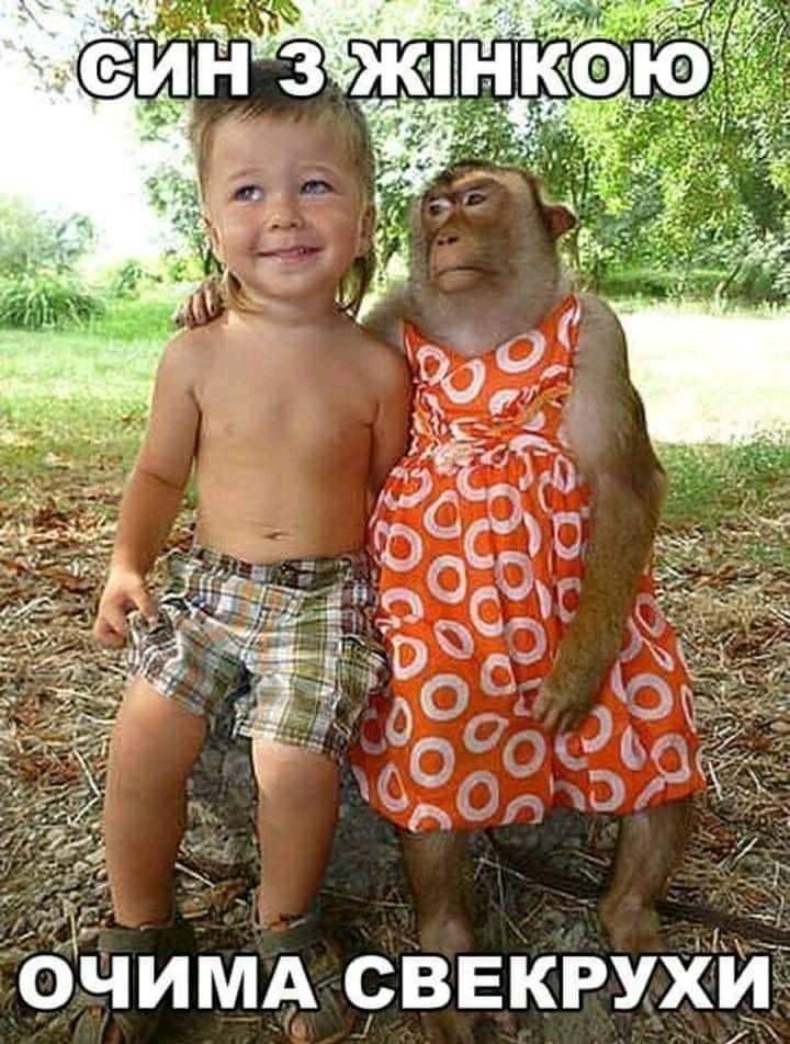 изображение_viber_2020-05-26_22-39-302.jpg