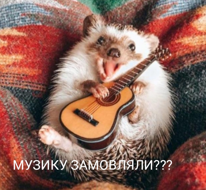 изображение_viber_2020-05-27_08-34-15.jpg