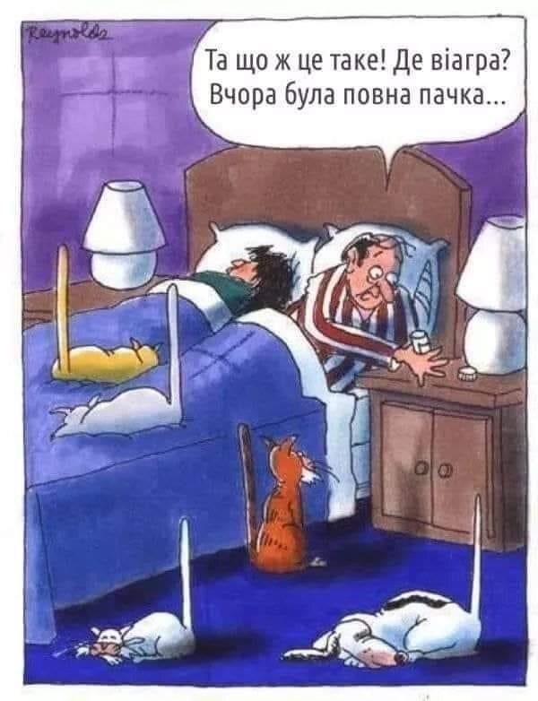 изображение_viber_2020-05-27_11-59-23.jpg