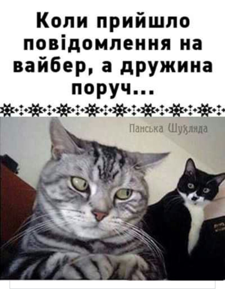 изображение_viber_2020-05-30_22-49-17.jpg