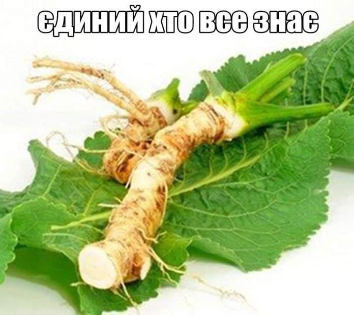 изображение_viber_2020-05-30_23-14-14.jpg