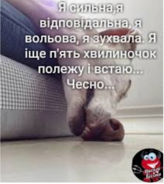 изображение_viber_2020-05-31_22-03-54.jpg