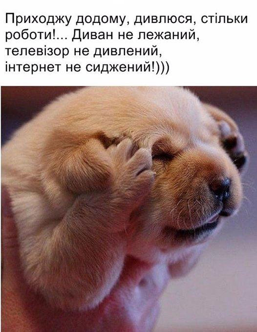 изображение_viber_2020-05-31_22-39-51.jpg
