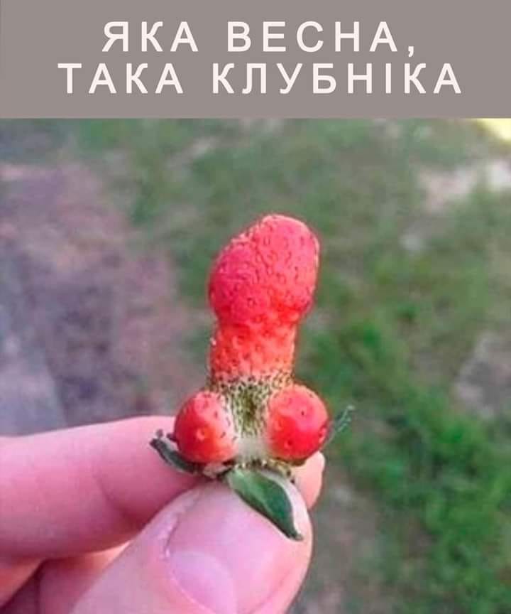 изображение_viber_2020-06-01_18-24-26.jpg